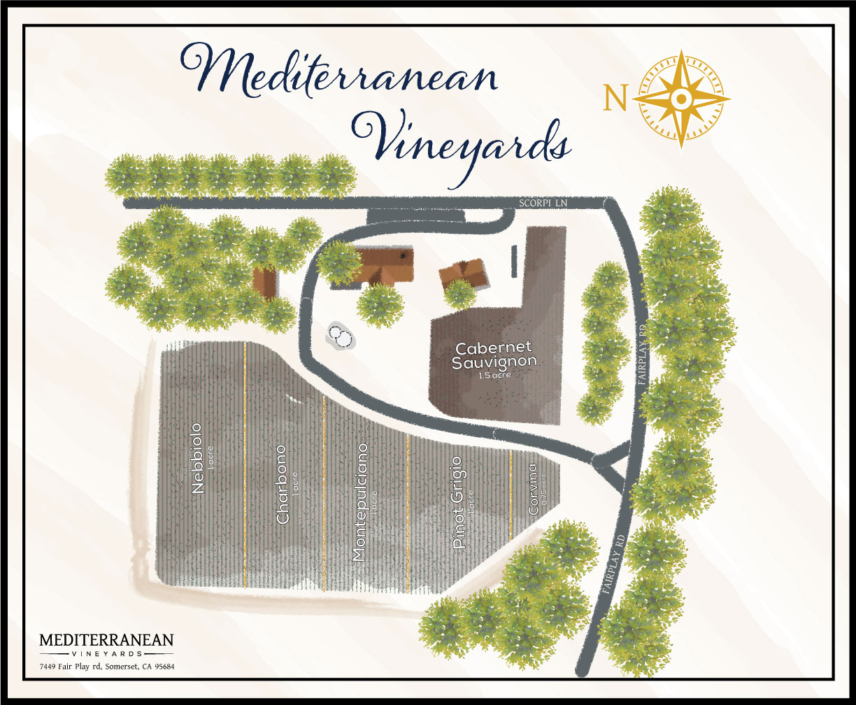 Map of Mediterranean Vineyard 