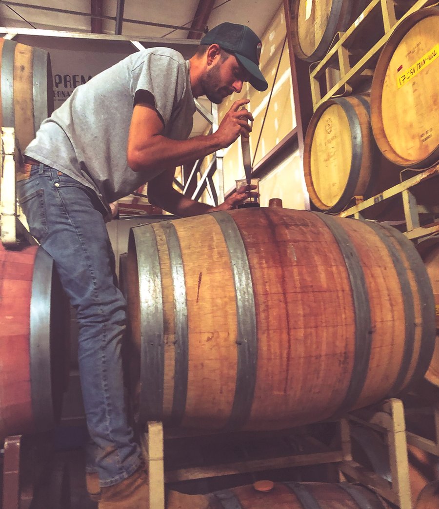 Winemaker Taylor Gibson testing wine barrels